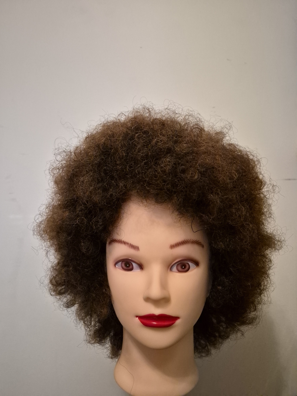 Natural Brown Afro Curly Women’s Hair Wig - Unbranded